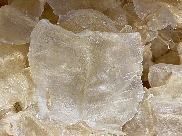 DRIED FISH MAW